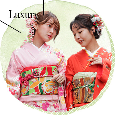  高級正絹振袖方案